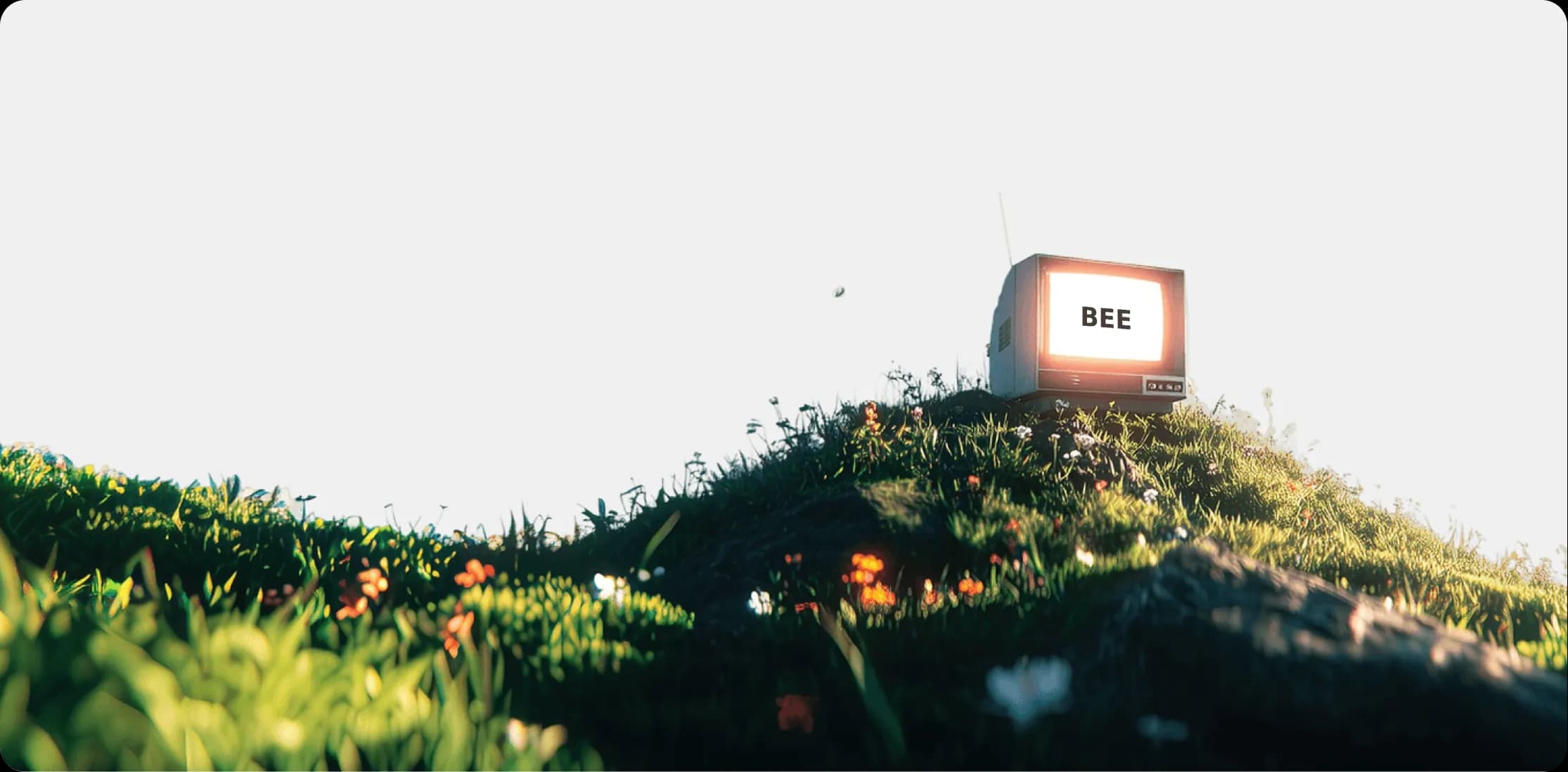 A glowing BEE sign resting in a green, sunlit landscape