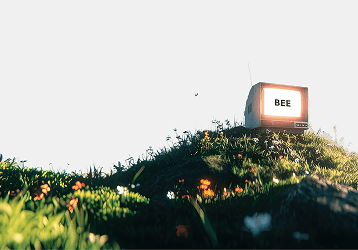 A glowing BEE sign resting in a green, sunlit landscape